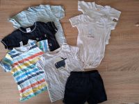 7 Teile Kurzes Set Paket 74/80 Hose Tshirt Baby Kleinkind Junge b Niedersachsen - Göttingen Vorschau