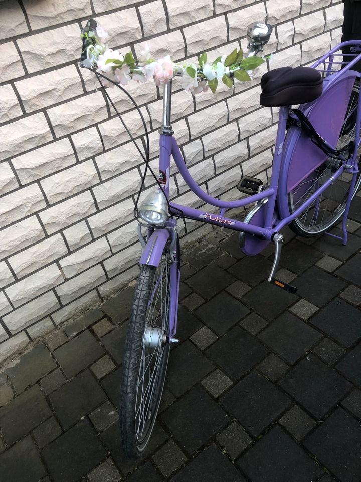 Damen Fahrrad Hollandrad Noblesse in Marl