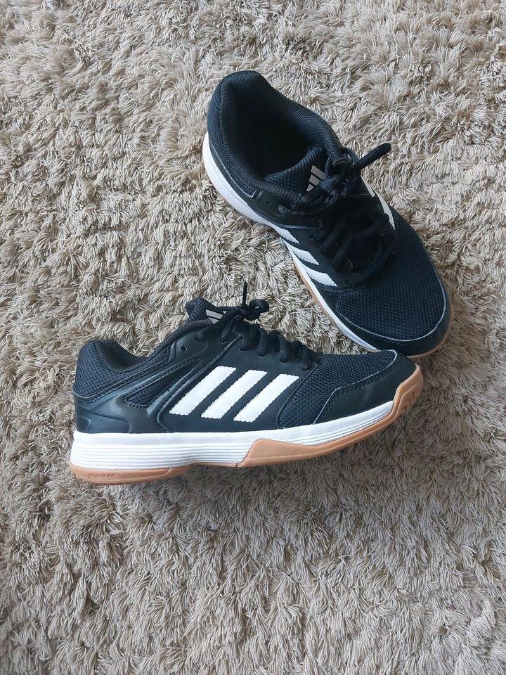 Adidas Hallenschuhe Sportschuhe Sneaker wie neu Gr.  38,5 in Georgsmarienhütte