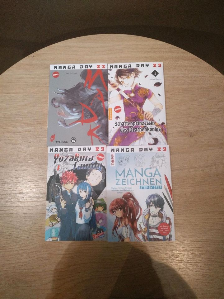 Manga Mangas in Rüdersdorf