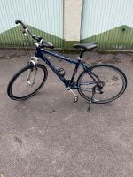 Herrenfahrrad Focus 28 zoll Nordrhein-Westfalen - Schwerte Vorschau