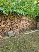 Brennholz  trocken geschnitten. Thüringen - Artern/Unstrut Vorschau