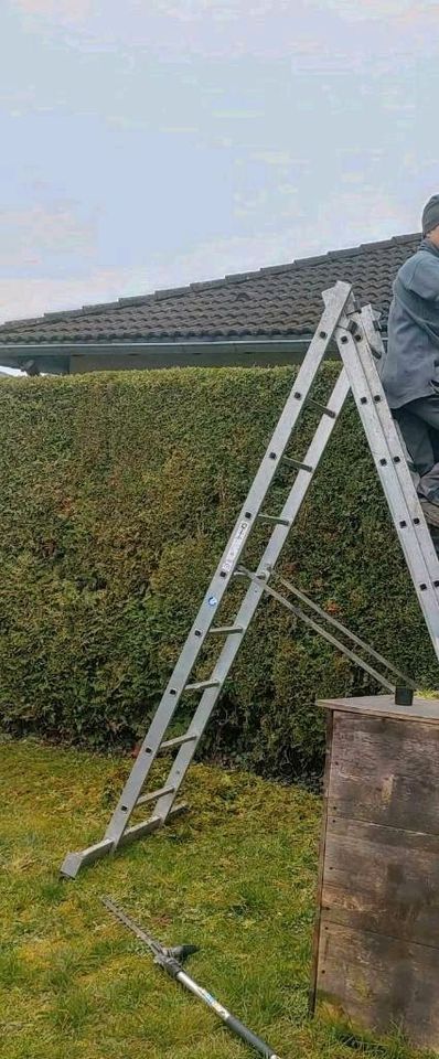 Gartenpflege/Heckenschnitt/Hausmeisterservice in Wiesbaden