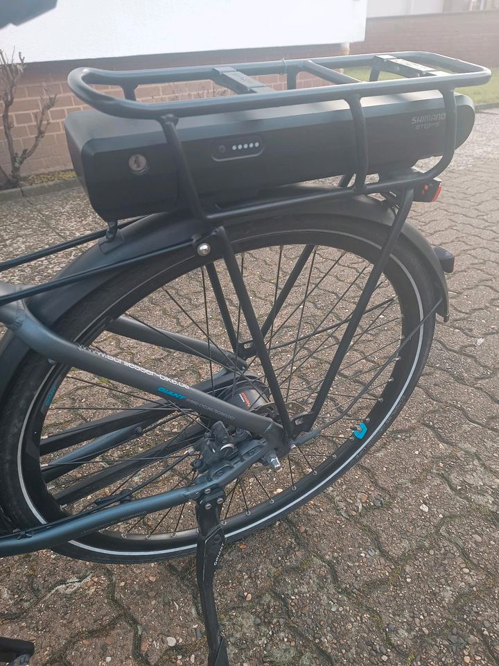 E Bike Damenrad in Schöningen