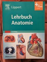 Lippert Lehrbuch Anatomie Urban & Fischer Baden-Württemberg - Ispringen Vorschau