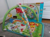 Fisherprice Spielbogen mit Originalkarton Hessen - Lich Vorschau