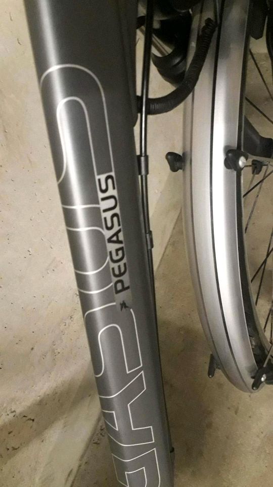 Herren Fahrrad 28zoll 8gang mit Rücktrittbremse in München