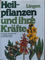 Heilpflanzen und ihre Kräfte - gut erhaltenes Buch Niedersachsen - Wittingen Vorschau