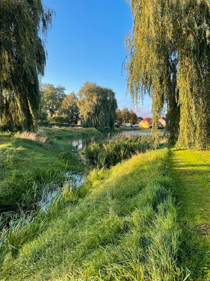 1.560 qm Baugrundstück am Wasser zu verkaufen in Schönbeck