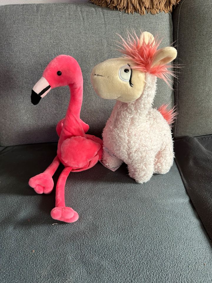 Lama mit Bluetooth-Lautsprecher Flamingo plappert nach in Mühlheim am Main