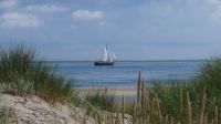 Ferienwohnung De Koog Texel-Urlaub mit/ohne Hund-frei ab 22.09. Bielefeld - Joellenbeck Vorschau