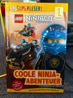 Ninjago, Lesebuch Bayern - Bubenreuth Vorschau