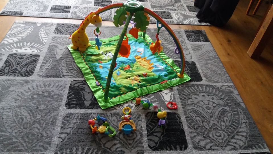 Spielbogen, Krabeldecke von Fisher- Price in Oberau