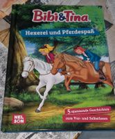 Bibi und tina Rheinland-Pfalz - Simmern Vorschau