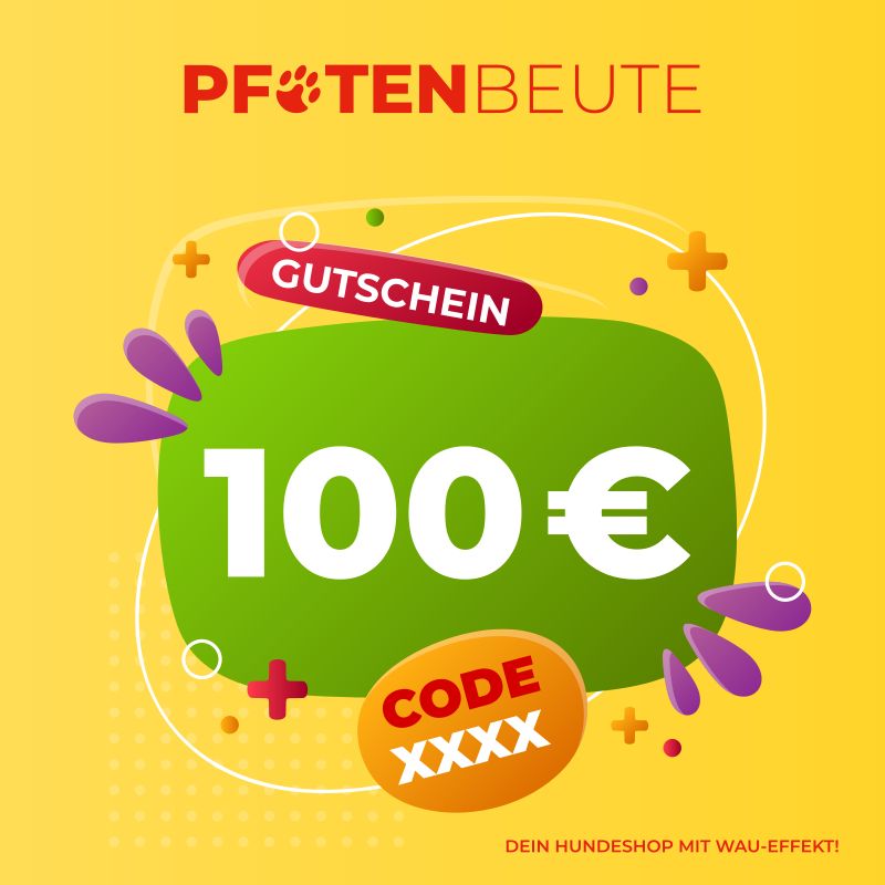 100,00 € PFOTENBEUTE Gutschein * Hunde + Spiele + Snacks + Futter in Michelau i. OFr.