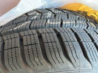 225/60 R16 Hankook Winter I Cept EVO 2 wie neu Baden-Württemberg - Sinzheim Vorschau