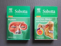 Sobotta Anatomie Lernkarten - Muskeln + Knochen, Bänder, Gelenke Sachsen - Chemnitz Vorschau