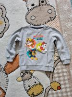 Pullover Paw Patrol Gr. 110 Sachsen - Bautzen Vorschau