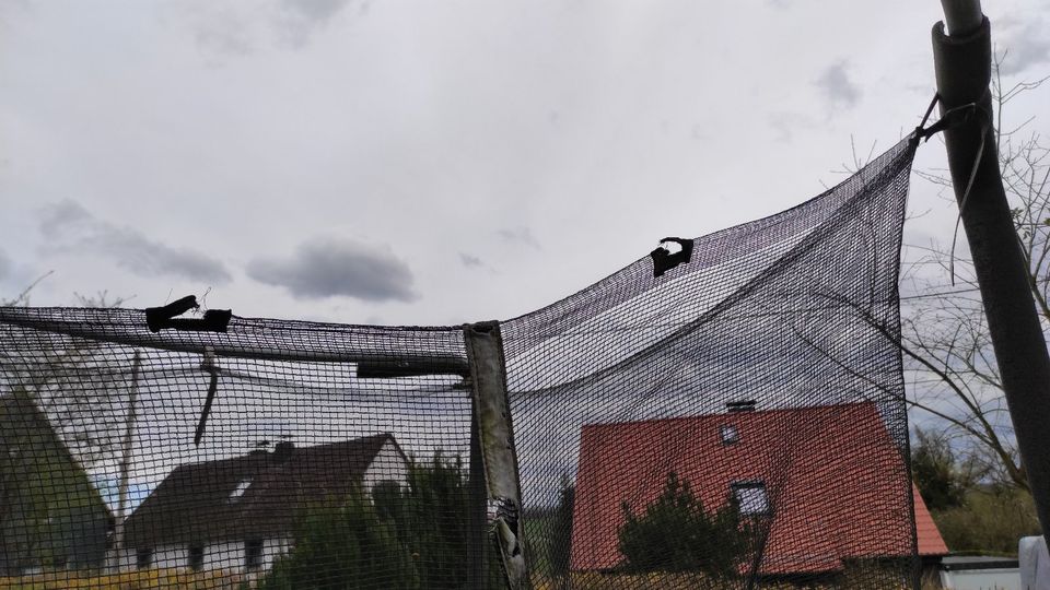 Trampolin groß Domyos MT 240 Netz Leiter in Witten