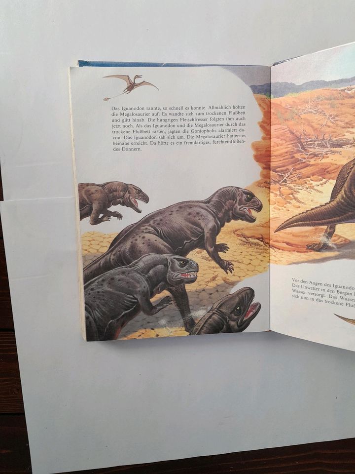 Dinosaurier  Kinder Wissensbuch in Bergisch Gladbach