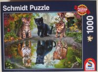 Schmidt Puzzle 1000 Teile Dream Big ! Premium Puzzle Nordrhein-Westfalen - Nettetal Vorschau