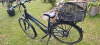 Fischer Damen Trekking E-bike Bayern - Amberg Vorschau