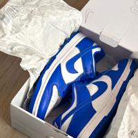 Nike Dunk Low - Kentucky Color Way - Nike by You Düsseldorf - Holthausen Vorschau