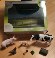 Schleich farm life 41424 erste Bauernhof Tiere Baden-Württemberg - Langenargen Vorschau