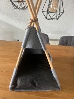 Katzen Tipi Nordrhein-Westfalen - Nümbrecht Vorschau