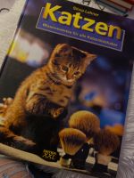 Katzen - Wissenswertes Niedersachsen - Scheeßel Vorschau