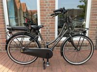 E-Bike Elektro Fahrrad E-Bike Cortina Bosch Hollandrad NEU!!! Nordrhein-Westfalen - Goch Vorschau