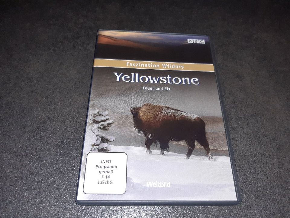 DVD Faszination Wildnis Yellostone von Weltbild in Möhrendorf