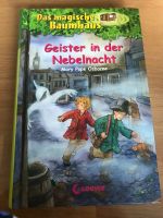 Das magische Baumhaus Geister in der Nebelnacht Nr.42 Rheinland-Pfalz - Hattert Vorschau