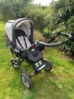 Hartan Kinderwagen mit Buggy-Aufsatz Kreis Pinneberg - Rellingen Vorschau