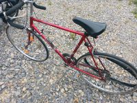 Fahrrad 28 Zoll Lutzow Rennrad Nordrhein-Westfalen - Lügde Vorschau