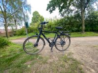 Koga e-bike ohne Akku Nordrhein-Westfalen - Telgte Vorschau