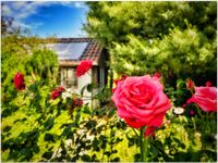 Wochenendhaus Gartengrundstück Garten Gartenhaus Haus Durlach Baden-Württemberg - Karlsruhe Vorschau