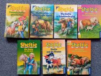 Sheltie Bücher Paket Pferde Bücher Erstleser Bücher ab 3. Klasse Niedersachsen - Ganderkesee Vorschau