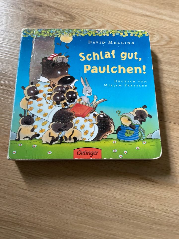 Kinderbuch „Schlaf gut, Paulchen!“ in Waltenhofen