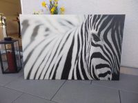 Zebra Bild Bayern - Sulzfeld am Main Vorschau