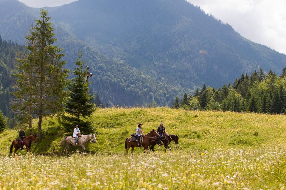 14./15. Sept 2024 Horsemanship Kurs / Clinic bei Augsburg Bayern in Fischach