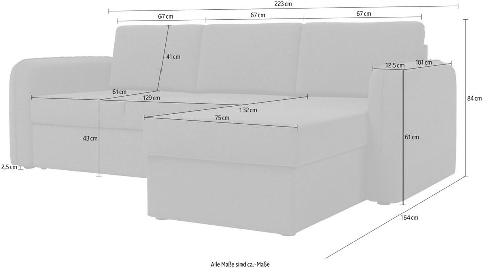 Schlafsofa + Bettkasten ✨Dela✨UVP: 779,-€ in Löhne