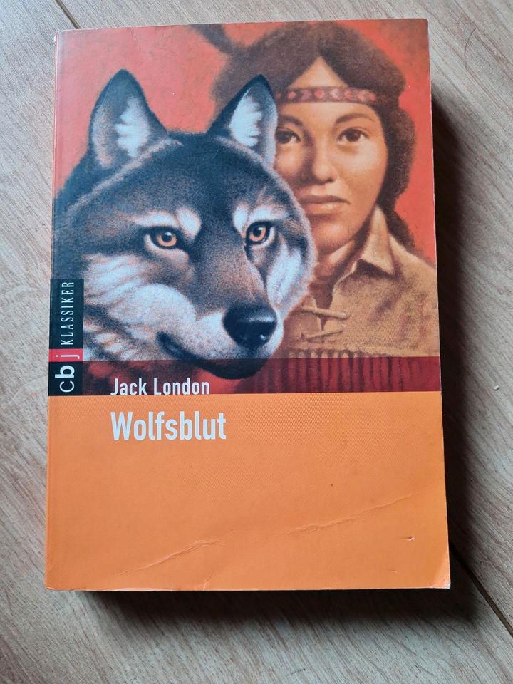 Wolfsblut- Jack London Buch in Weißenhorn