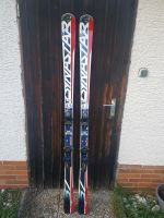 Ski Dynastar Riesenslalom Race Carver Bayern - Schwarzenfeld Vorschau