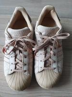 Adidas Superstar (789002) beige Reptilprägung 40 (entspricht 39) Kreis Pinneberg - Wedel Vorschau