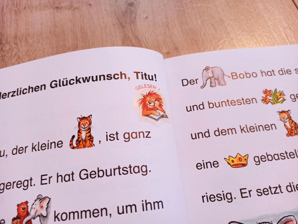 Bücher Leselöwe Lesestufe 1 Piraten Tiere in Oderwitz