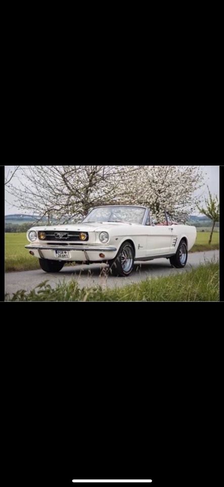 Mustang als Hochzeitsauto mieten - schickes weißes Cabrio mit V8 in Pirna