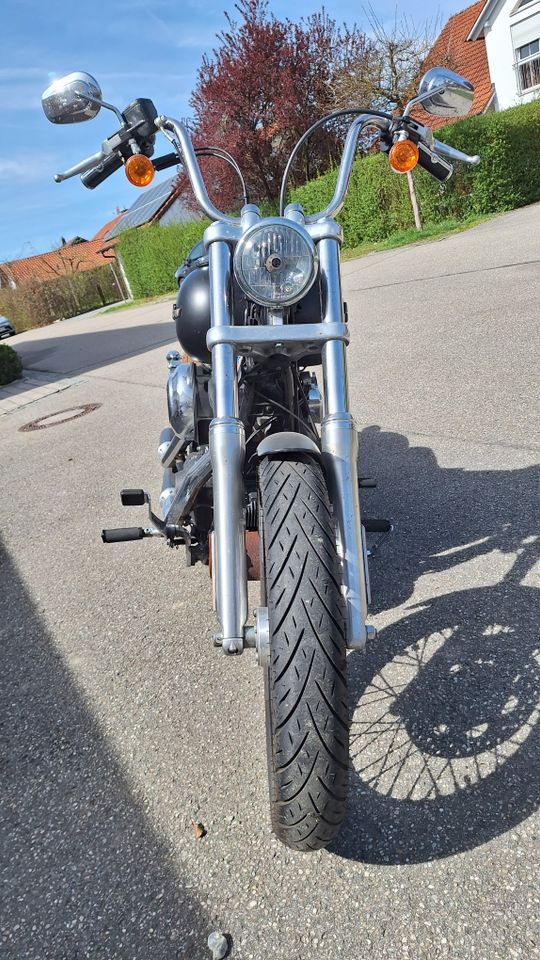 Harley Davidson Street Bob in Mettenheim
