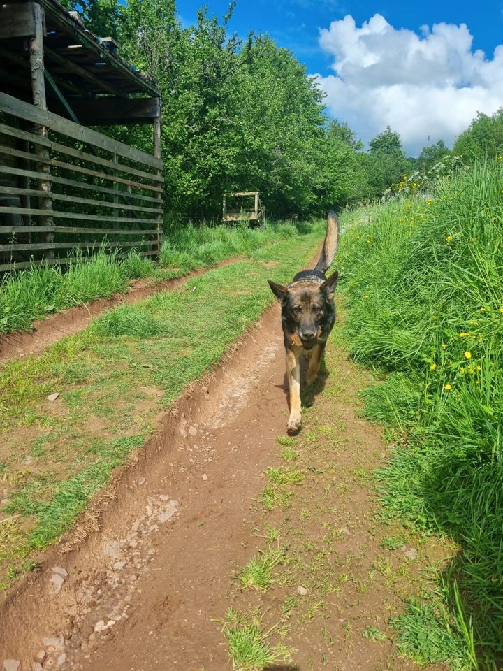 ich heiße Airin.❤️❤️ in Baesweiler