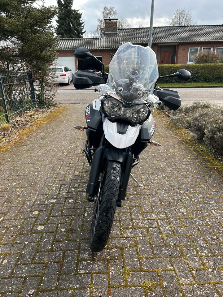 Triumph Tiger 800 XCX in Bünde